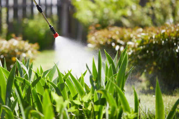 Tamper-Resistant Bait Stations for Rodents in Sparrow Bush