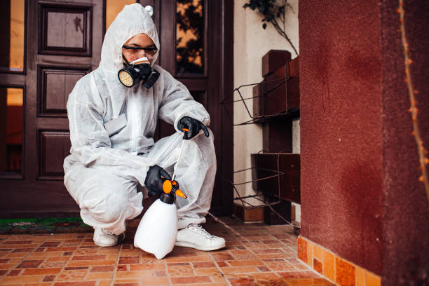 Attic and Crawl Space Rodent Treatment in Sparrow Bush